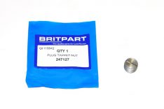 PLUG TAPPET NUT