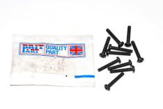 DRIVE SCREW