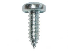 DRIVE SCREW x 100