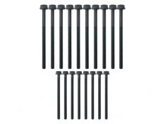 HEAD BOLT SET PUMA 2.4