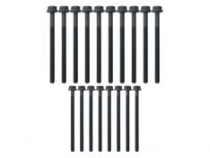 HEAD BOLT SET PUMA 2.2