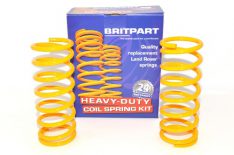 COIL SPRING - PAIR
