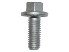 SCREW FLANGED HEAD x 100