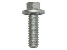 BOLT x 100